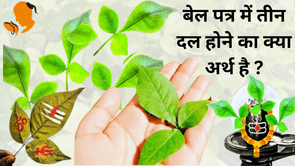 Online Panditji Booking for puja