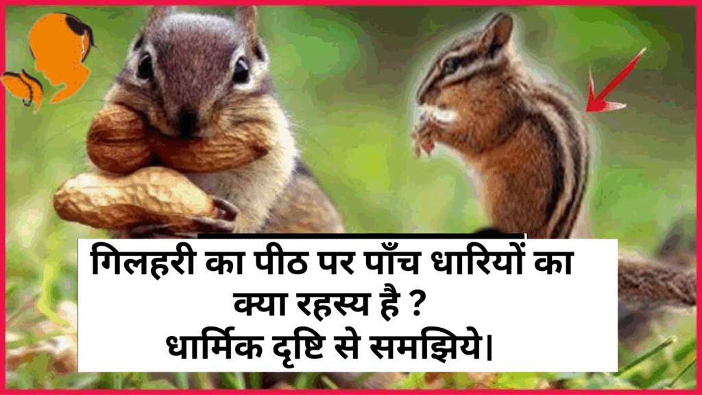 Pandit for puja in Gulshan Ikebana