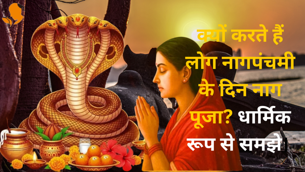 Panditji Book for Nagpanchmi Pooja