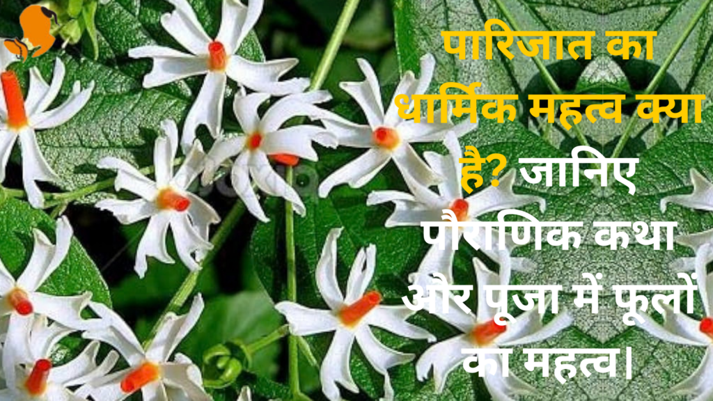 Panditji Book for Dharmik Plant